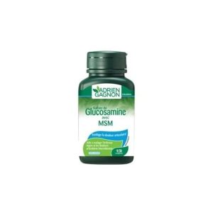 adrien gagnon glucosamine msm b/100