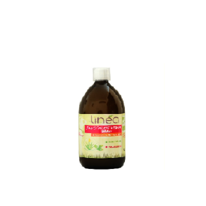 linea  jus d’aleo vera the vert 500ml