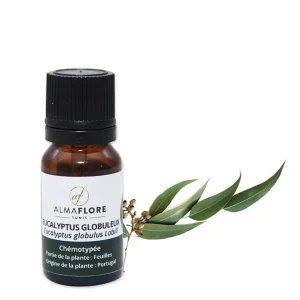 almaflore huile eucalyptus globul 10ml
