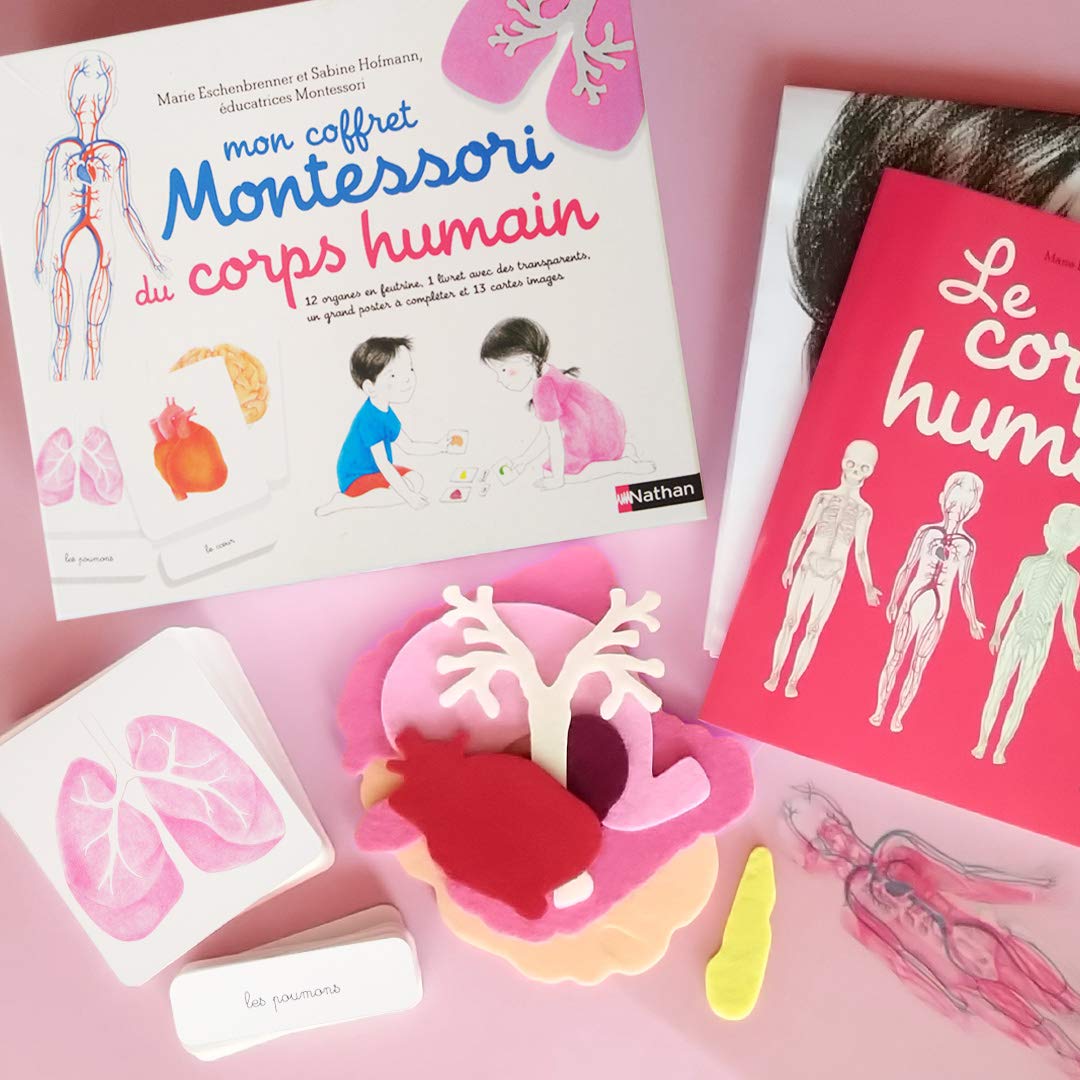 Coffret Montessori du corps humain pour enfants de 6 à 9 ans – Image 2
