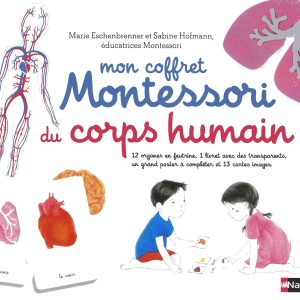 Coffret Montessori du corps humain pour enfants de 6 à 9 ans