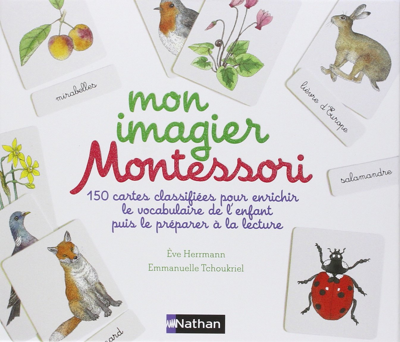Coffret imagier Montessori : le must-have pour les enfants dès 3 ans