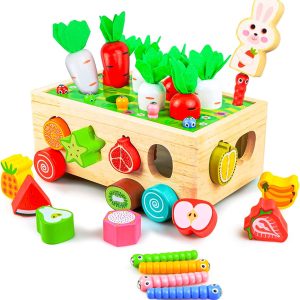 Jouet Montessori en bois pour le développement de la motricité chez les 1 à 3 ans