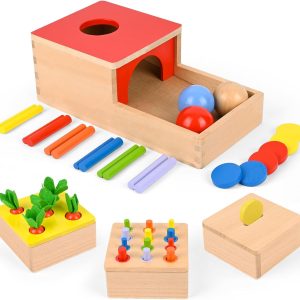 Jouets Montessori 4 en 1 en bois : motricité et apprentissage des couleurs
