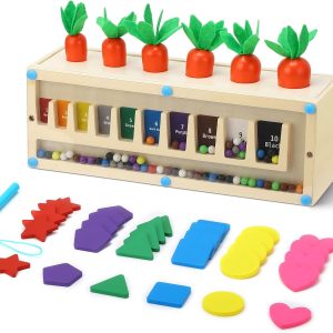 Jouets Montessori en bois 3-en-1 : jeu magnétique pour enfants 2-5 ans