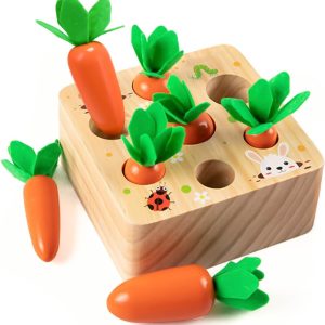 Jouets Montessori en bois pour bébés 1-3 ans : jeu de tri et motricité fine