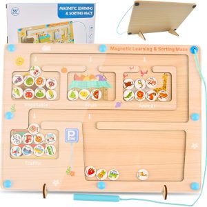 Labyrinthe magnétique Montessori : jeu de tri en bois pour enfants de 3 à 5 ans